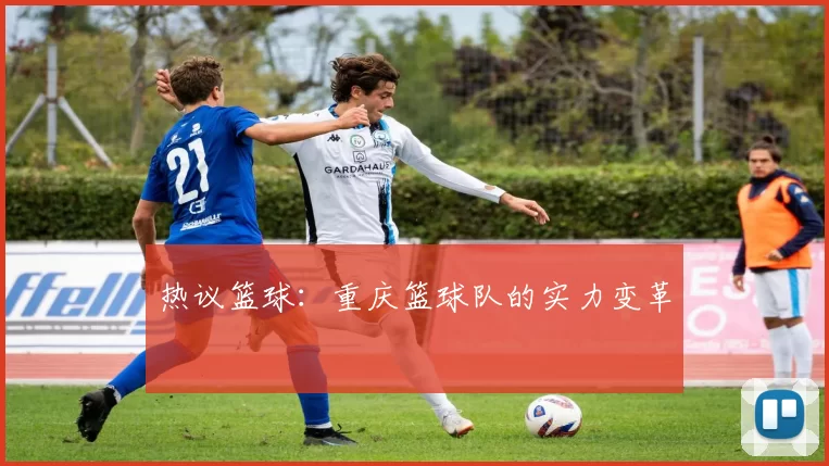 热议篮球：重庆篮球队的实力变革