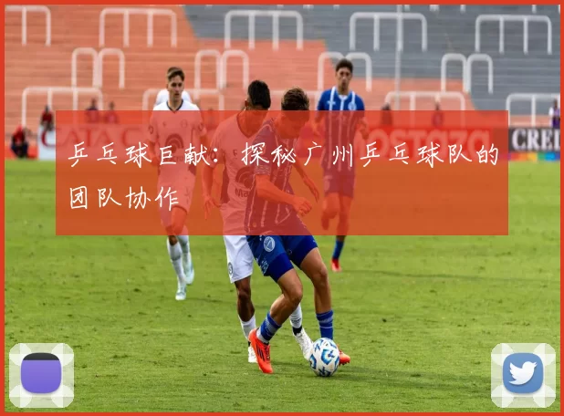 乒乓球巨献：探秘广州乒乓球队的团队协作