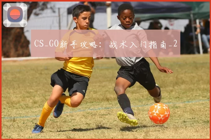 CS_GO新手攻略：战术入门指南_2